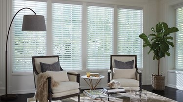 Levolor: 2 Inch Faux Wood Blinds